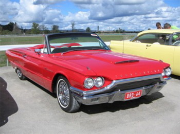 t bird 64