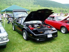 DARE Car Show-08-007