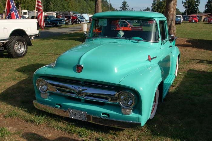 Petes 56 ford pickup #5