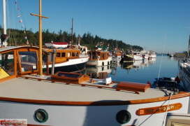 Wooden boat show