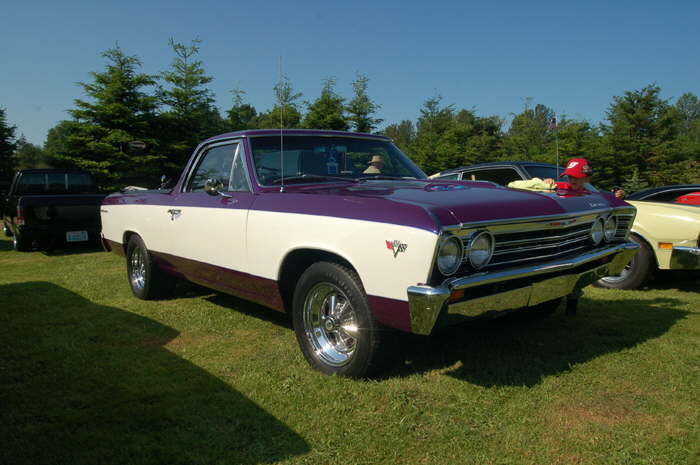 El Camino muscle