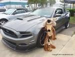 13th Regional Mustang and Ford Show16