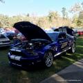 21st Ford & Mustang Roundup 84