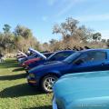 21st Ford & Mustang Roundup 96