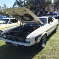 21st Ford & Mustang Roundup 0