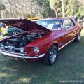 21st Ford & Mustang Roundup 19