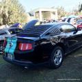 21st Ford & Mustang Roundup 20