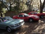 21st Ford & Mustang Roundup 52