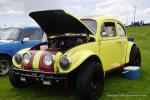 Bugs on the Green VW Show40