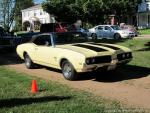 Colchester Cruise on the Green71