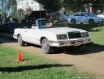 Colchester Cruise on the Green11