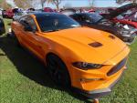 Hudson Valley Mustang Association's 41 Annual Car Show102