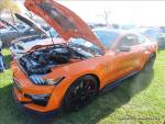 Hudson Valley Mustang Association's 41 Annual Car Show124