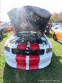 Hudson Valley Mustang Association's 41 Annual Car Show125