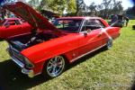 Lake Wildwood Car Show 131