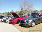 Mustang and Ford Roundup88