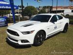 Mustang and Ford Roundup110