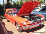 Mustang and Ford Roundup48