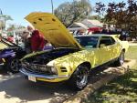 Mustang and Ford Roundup54