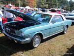 Orange Harvest Car Show306