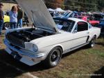 Orange Harvest Car Show308