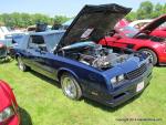 Pioneer Valley GTO Club Car Show141