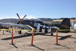 Pistons, Pin Ups, and Pinot. Car and Air Plane Show113