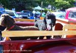 Port Orchard's Annual Classic Car Show--The Cruz!56