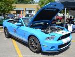 Woodward Dream Cruise26