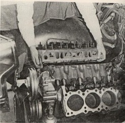 Picture 40002 Picture 40002