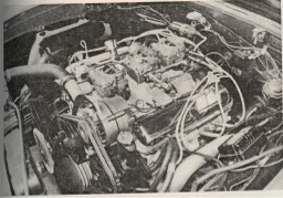 Picture 40002 Picture 40002