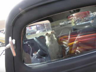 nu300182183TAZLwq_ph