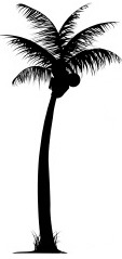 ist2_5332257-palm-trees1